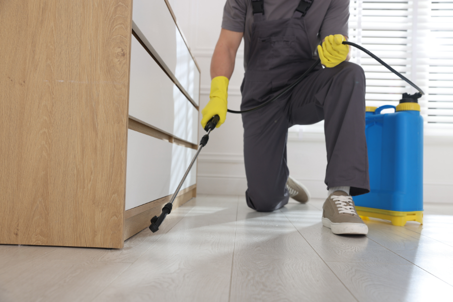 How Professional Floor Cleaning Helps Improve Indoor Air Quality