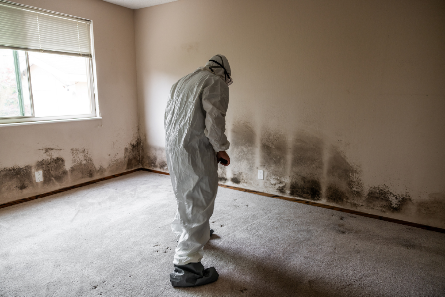 How to Prepare Your Home for Winter: Water, Fire & Mold Prevention Tips